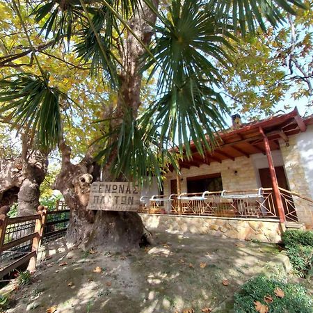 Guesthouse Platon Orma Ngoại thất bức ảnh