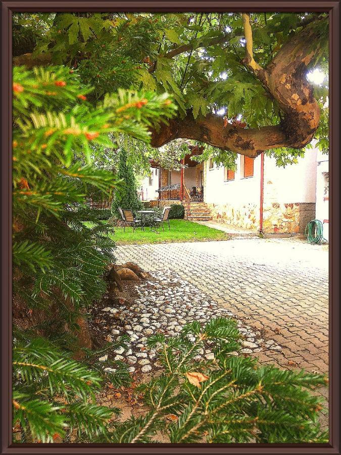 Guesthouse Platon Orma Ngoại thất bức ảnh