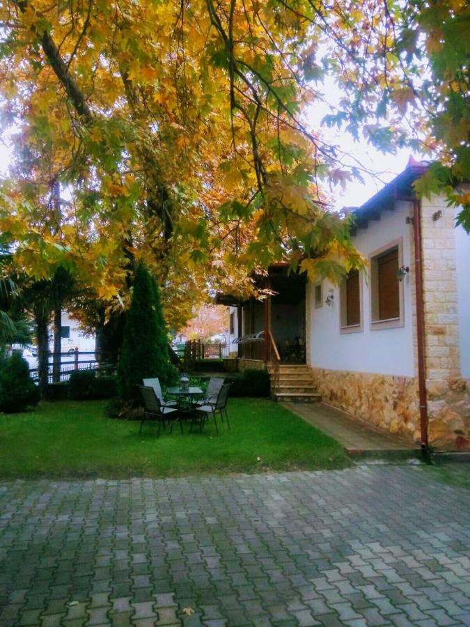 Guesthouse Platon Orma Ngoại thất bức ảnh