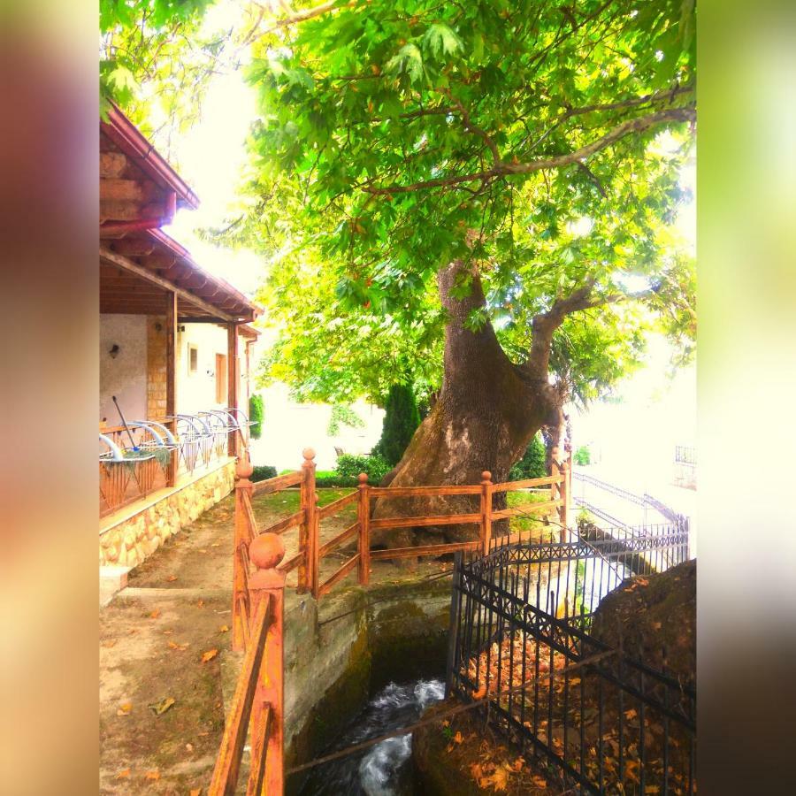 Guesthouse Platon Orma Ngoại thất bức ảnh