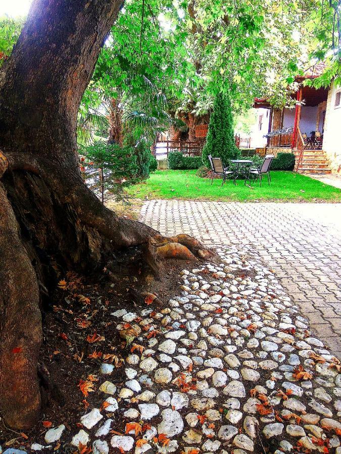 Guesthouse Platon Orma Ngoại thất bức ảnh